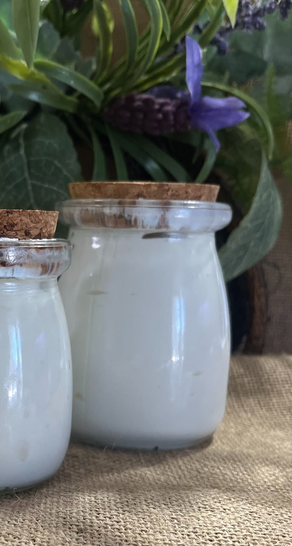 Body Butter Coco/Mango